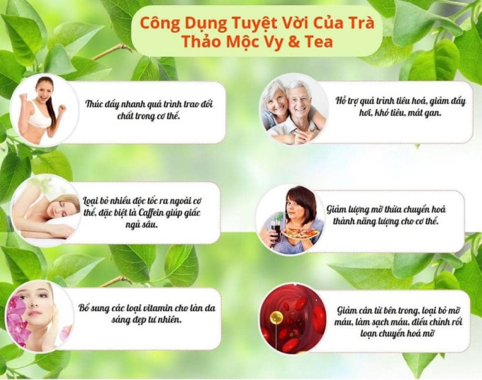 Thành phần chính