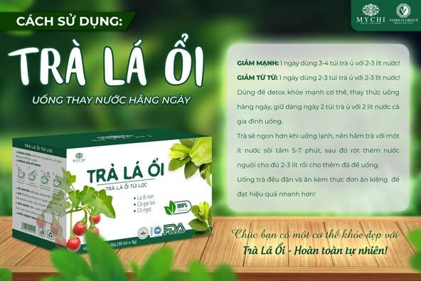 Hướng dẫn sử dụng