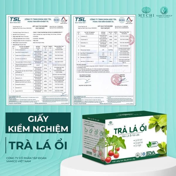 Trà lá ổi túi lọc Mychi có tốt không?