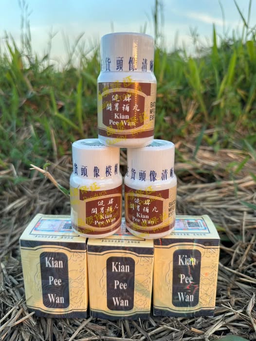 Kiện Tỳ Khai Vị Kian Pee Wan – Giải pháp tăng cân Đông y cho người gầy lâu năm: Kiện tỳ, cải thiện tiêu hóa và phục hồi thể trạng tự nhiên