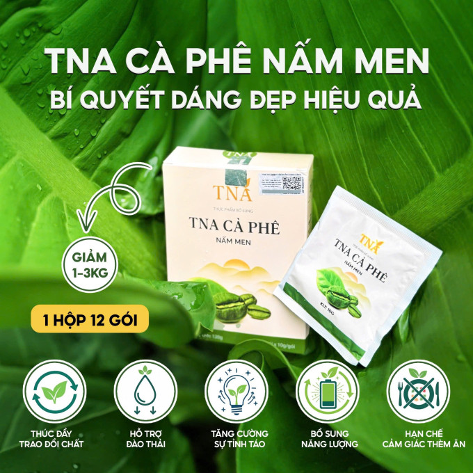 Thành Phần Nổi Bật